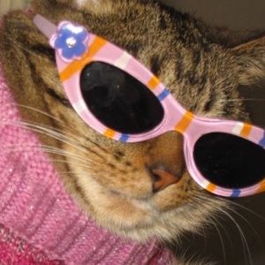 Meet your Posher, Daliah